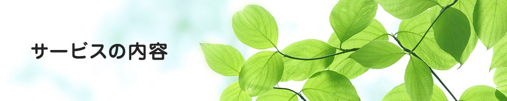 サービスの内容