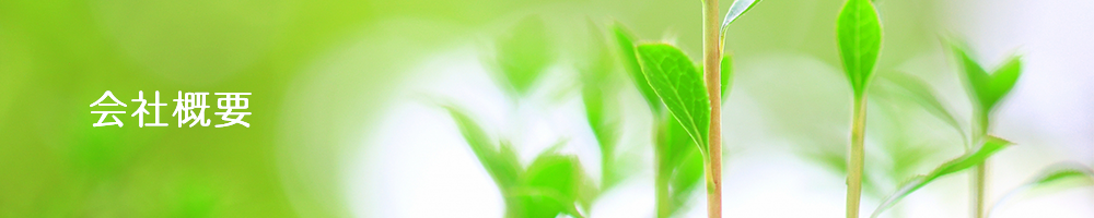 会社概要