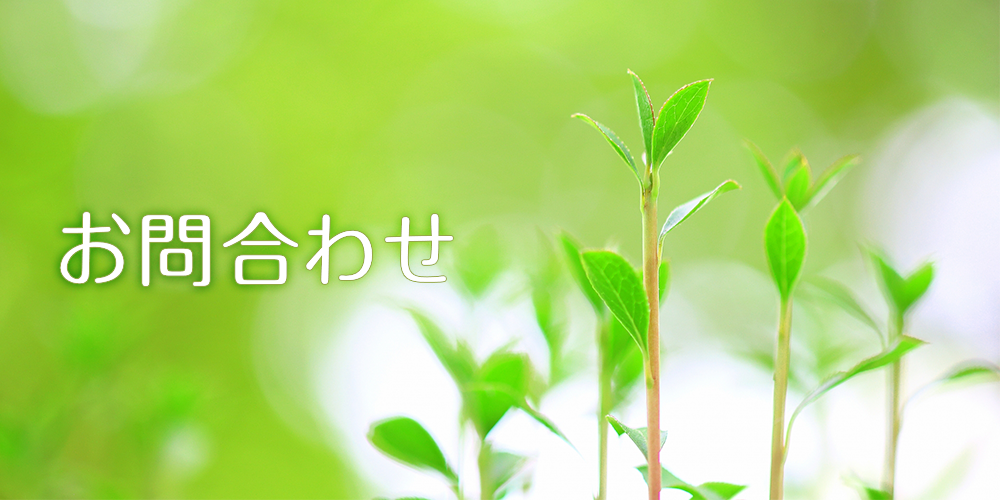 お問い合わせ