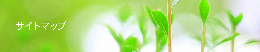 サイトマップ