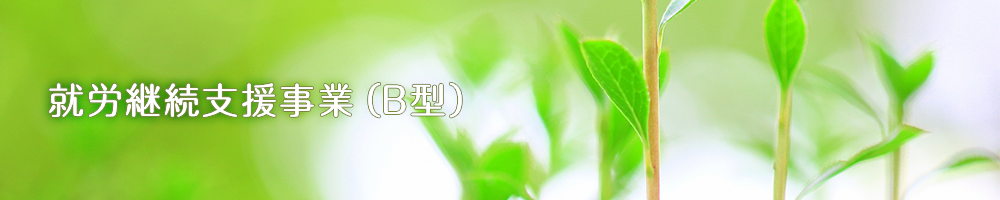 就労継続支援事業（B型）