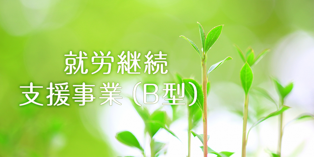 就労継続支援事業（B型）